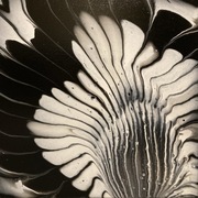 Obraz akrylowy na płótnie 