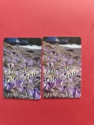 Wiosna 2002. Karta chipowa nr 72 Da.