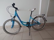 Rower młodzieżowy R-Land 24x1.75 amortyzator, Nexus
