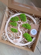 Drzewko bonsai dla mamy