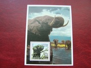 Gwinea 2002 MNH Fauna Zwierzęta  Słoń