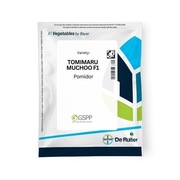 Pomidor malinowy Tomimaru Muchoo F1 malinowy król  10szt nasion