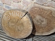 ORZECH CZARNY Amerykański 41/36/8 cm Wysuszony Blat Plaster Drewna Stolik