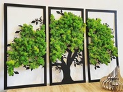 Obraz drzewo z mchu chrobotek tryptyk 