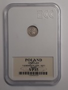 Zygmunt Luksemburski 1419–1437, Halerz bez daty, Wrocław GCN VF35