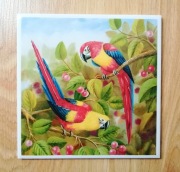 Płytka dekor ptaki, papuga, koliber, kanarek