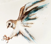 sowa 40x40 cmfotoobraz z akwareli ,,arctic owl,,