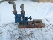 Pompa powierzchniowa Wimest SKSb