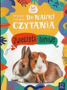 Zwierzęta domowe Wyrazy i zdania do nauki czytania