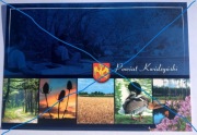 Kwidzyn-Powiat Kwidzyński .Pocztówka czysta .Polecam