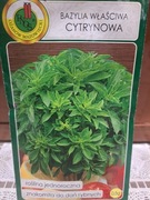 Bazylia właściwa cytrynowa 