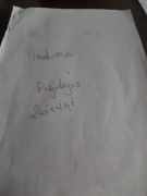 Notatki anatomia i analityka weterynaryjna 