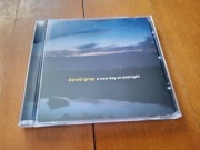DAVID GRAY - A NEW DAY AT MIDNIGHT CD