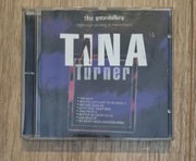 The Soundalikes - wykonuje utwory z repertuaru Tina Turner 