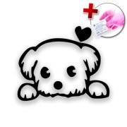 NAKLEJKA NA SAMOCHÓD AUTO LAPTOP - PIES PUPIL Z SERCEM