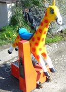 bujak zarobkowy żyrafa