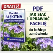 Facelia błękitna – nasiona facelii 2025 | miododajna | poplon | ogród -15kg