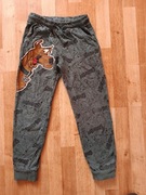 Nr23) spodnie dresowe dresy chłopięce 9 lat 134 