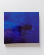 Pejzaż - Blues (CD)