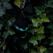 Zawieszka grzybek mroczny