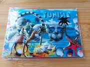 Magnes na lodówkę - Tunezja , Djerba