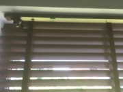 Żaluzja drewniana retro