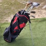 Zestaw 10 kiji do golfa w torbie