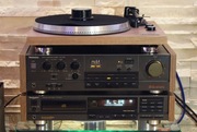 Zestaw stereo Technics z gramofonem Argon Audio