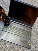 hp Pavilion używany 