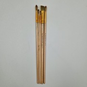 Zestaw 5 pędzli Van Bleiswijck