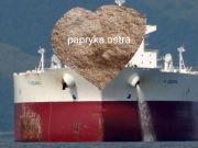 Papryka ostra puder przyprawa 30g