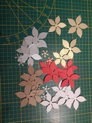 POISENCJA GWIAZDA BETLEJEMSKA SCRAPKI MIX 