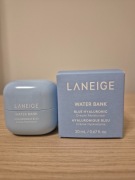 ANEIGE Water Bank Intensive Moisturizer - Krem intensywnie nawilżający 
