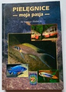 PIELĘGNICE MOJA PASJA, Ad Konings