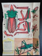 3 wycinanki z czasopism dla młodzieży, z lat 80-tych