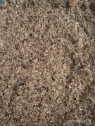 Mech torfowiec sphagnum 1 litr