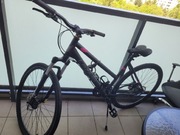 Rower Lazaro 29 koła, rama 19