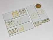 Preparaty mikroskopowe czasów PRL Unikat