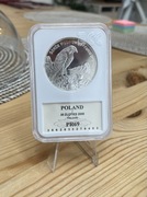 20zł - Sokół Wędrowny 2008r