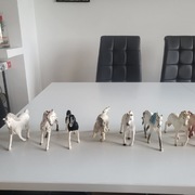 Konie Schlaich zestaw nr 2-11szt.