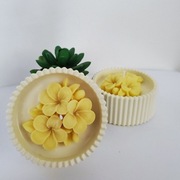 Świece sojowe | Delikatny kwiat