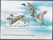 Ptaki kaczki Jemen 1990 czyste **