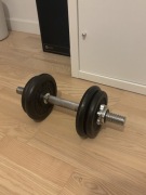 Żeliwny hantel 10kg