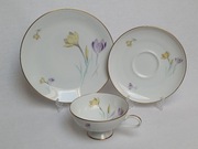 Zestaw porcelany vintage Thomas Germany – filiżanka, spodek, talerzyk