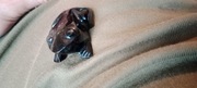 Obsydian rzeźba figurka żaba amulet ozdoba. Pamiątka z  Meksyku 