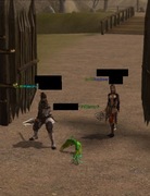 Wojownik Body Nerwia2 Dragon Akademia 80Lv  +podstawowe Eq+Szamanka 77 lv