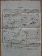 Sztab Generalny - Mapa ćwiczebna Nr 1 Ark. D ( Większyca, Łany, Janów,)