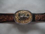 Pasek Scorpio Premium