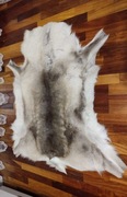 Dywan ze skóry renifera