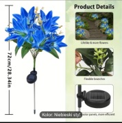 LILIA KWIAT SLONECZNY SOLARNY NIEBIESKI